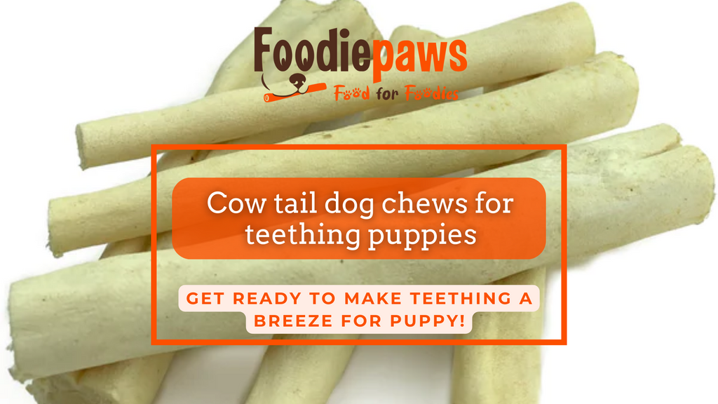 Cow tail dog chews for teething puppies Foodiepaws