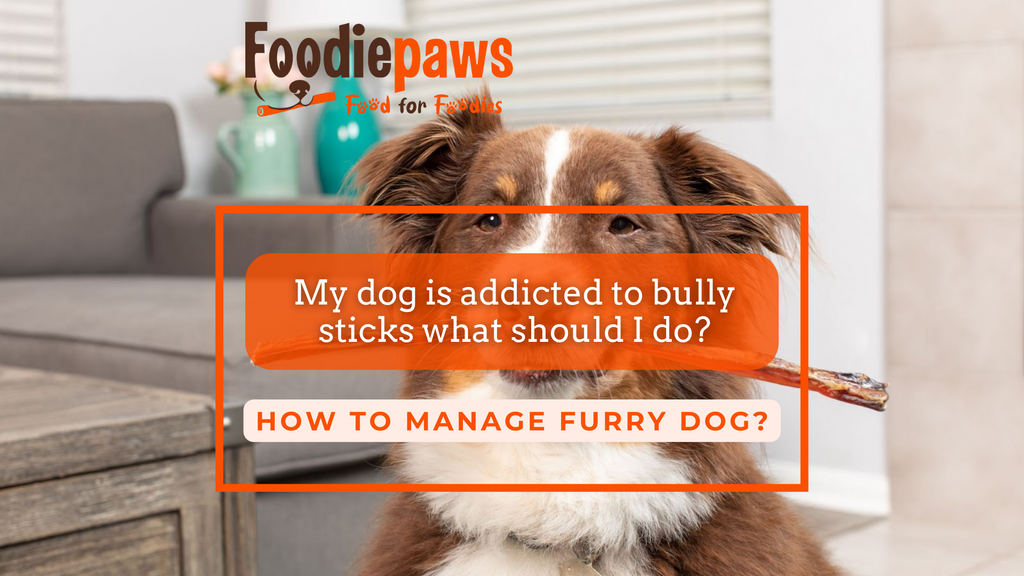 My dog is addicted to bully sticks what should I do Foodiepaws