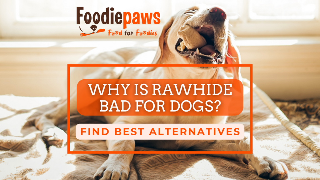Why is rawhide bad for deals dogs