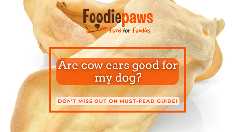 Are cow ears good for my dog?