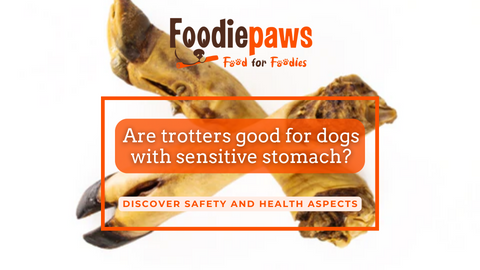 Are trotters good for dogs with sensitive stomach?
