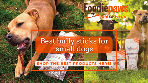 Best bully sticks for small dogs