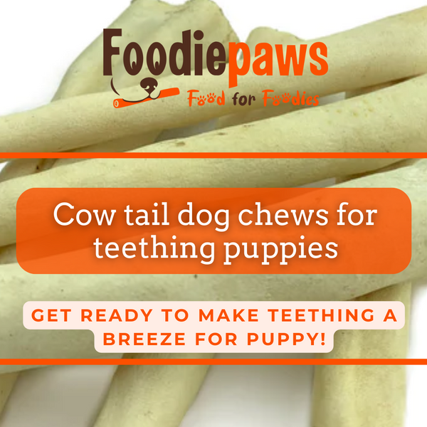 Cow tail chews for dogs online