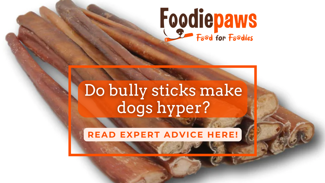 Do bully sticks make dogs hyper? Foodiepaws