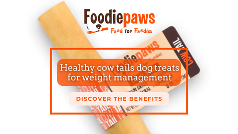 Healthy cow tails dog treats for weight management