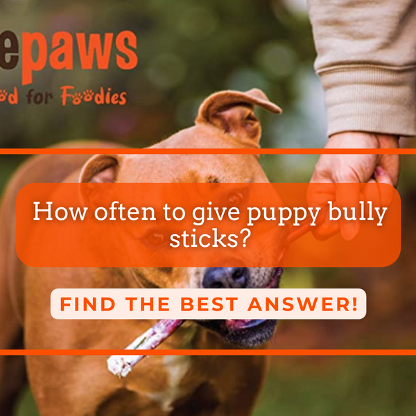 How often to give puppy bully sticks 2025