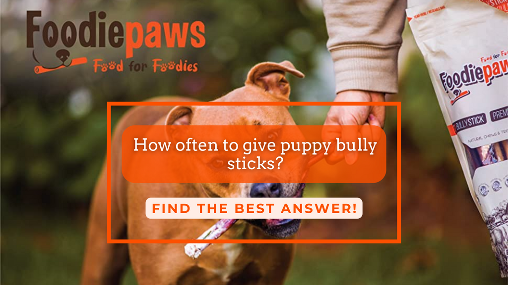 How often to give puppy bully sticks? Foodiepaws