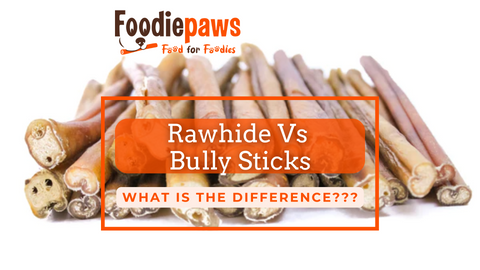 Rawhide Vs Bully Sticks: What Is The Difference
