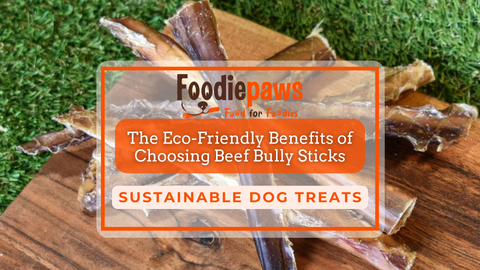 Sustainable Dog Treats: The Eco-Friendly Benefits of Choosing Beef Bully Sticks