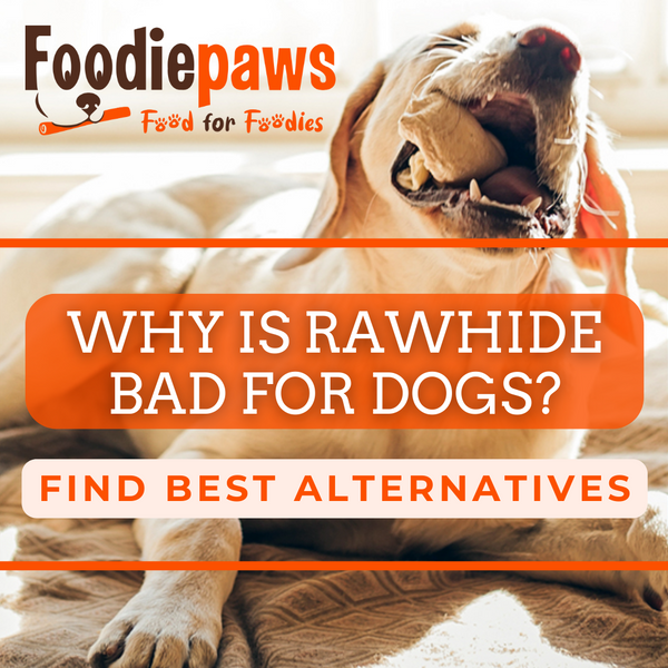 Why is rawhide bad for dogs