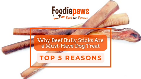 Top 5 Reasons Why Beef Bully Sticks Are a Must-Have Dog Treat