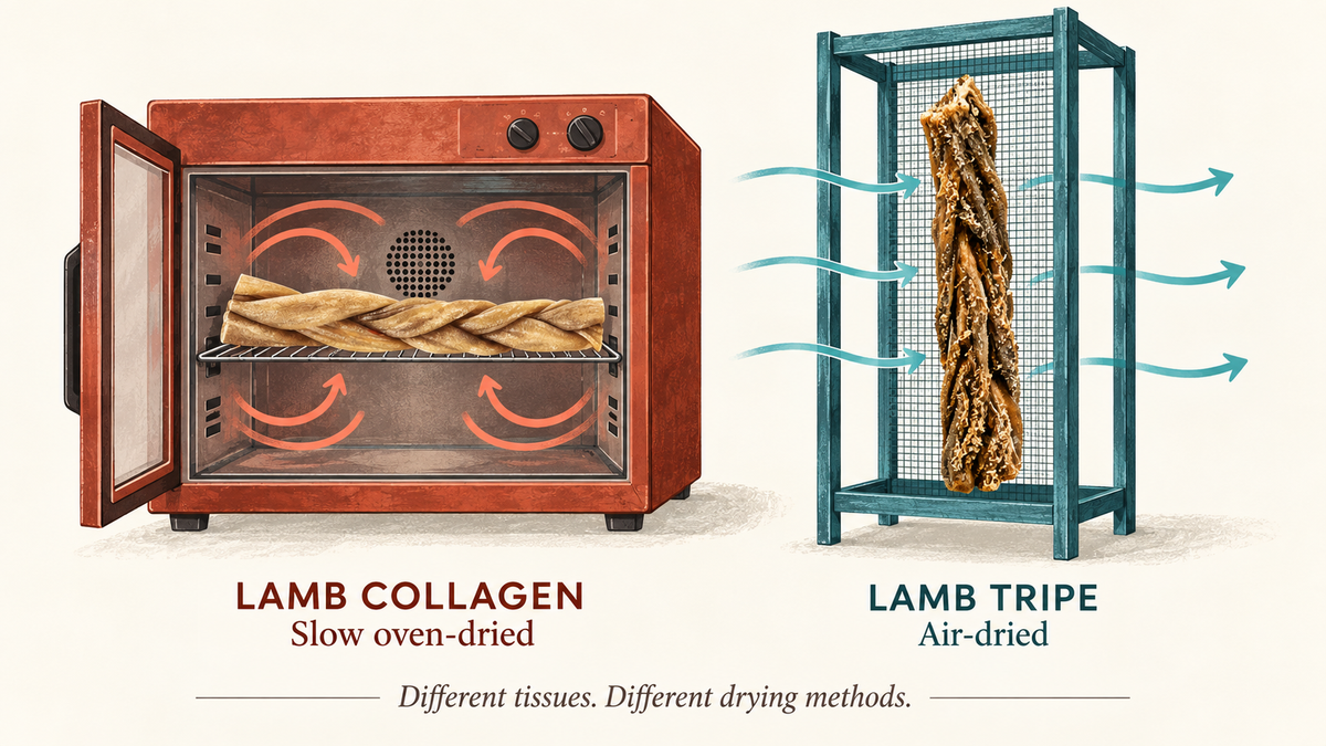 Conceptual illustration comparing slow oven-drying for lamb collagen with air-drying for lamb tripe.