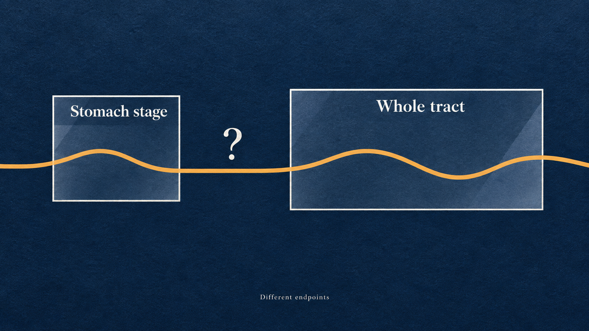 Conceptual graphic comparing stomach-stage and whole-tract research endpoints using two observation windows.