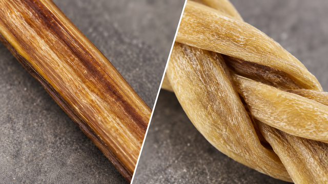 Compact longitudinal pizzle grain contrasts with the broad folded ribbons of a lamb collagen braid.