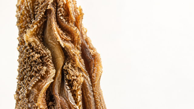 Close-up of the folded, textured surface of a dried lamb tripe chew.