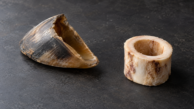 Generic dried hoof shell and hollow marrow-bone ring separated on a charcoal surface.