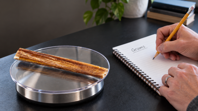 An owner weighs a bully stick and prepares to record its mass.