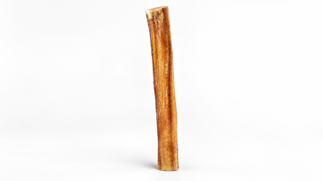 A single complete bully stick with its natural outline and longitudinal fibrous texture clearly visible.