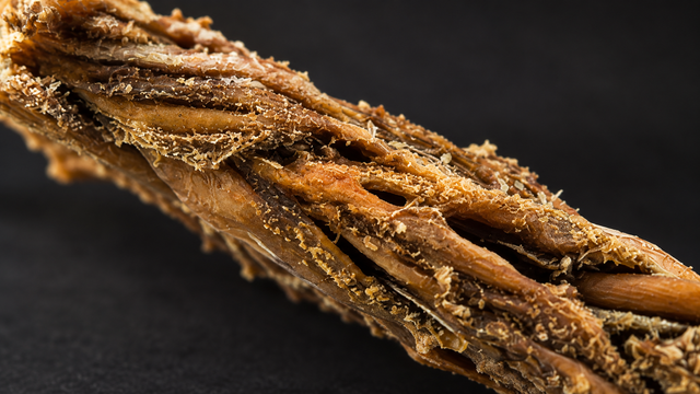 Close view of the natural ridges and fibrous texture of a dried lamb-tripe chew.