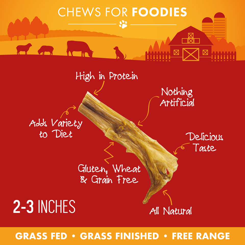 Bully Stick Bites pieces with feature callouts including high in protein, all natural, and grain free