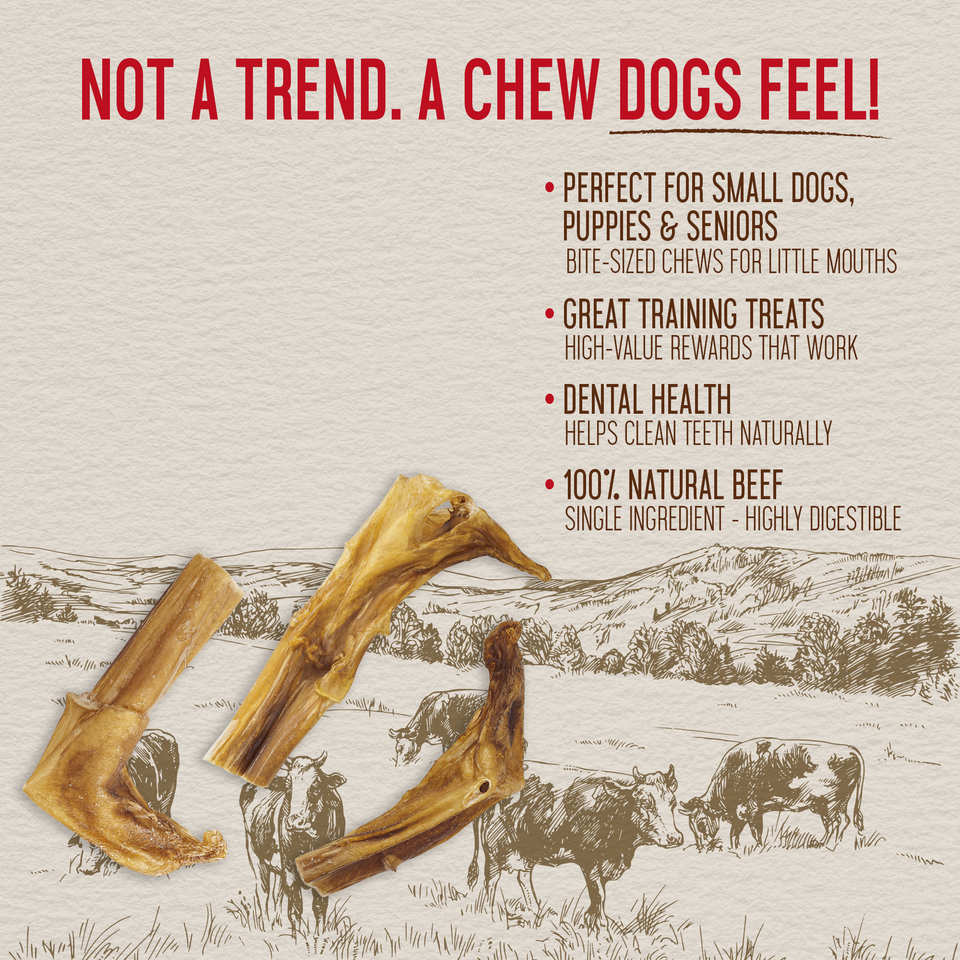 Close-up of bite-size natural bully stick pieces with key health benefit callouts