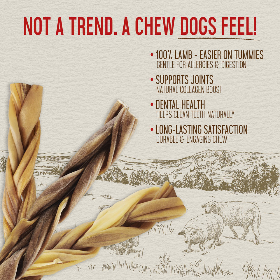 Close-up of braided 12-inch lamb collagen sticks with key health benefit callouts