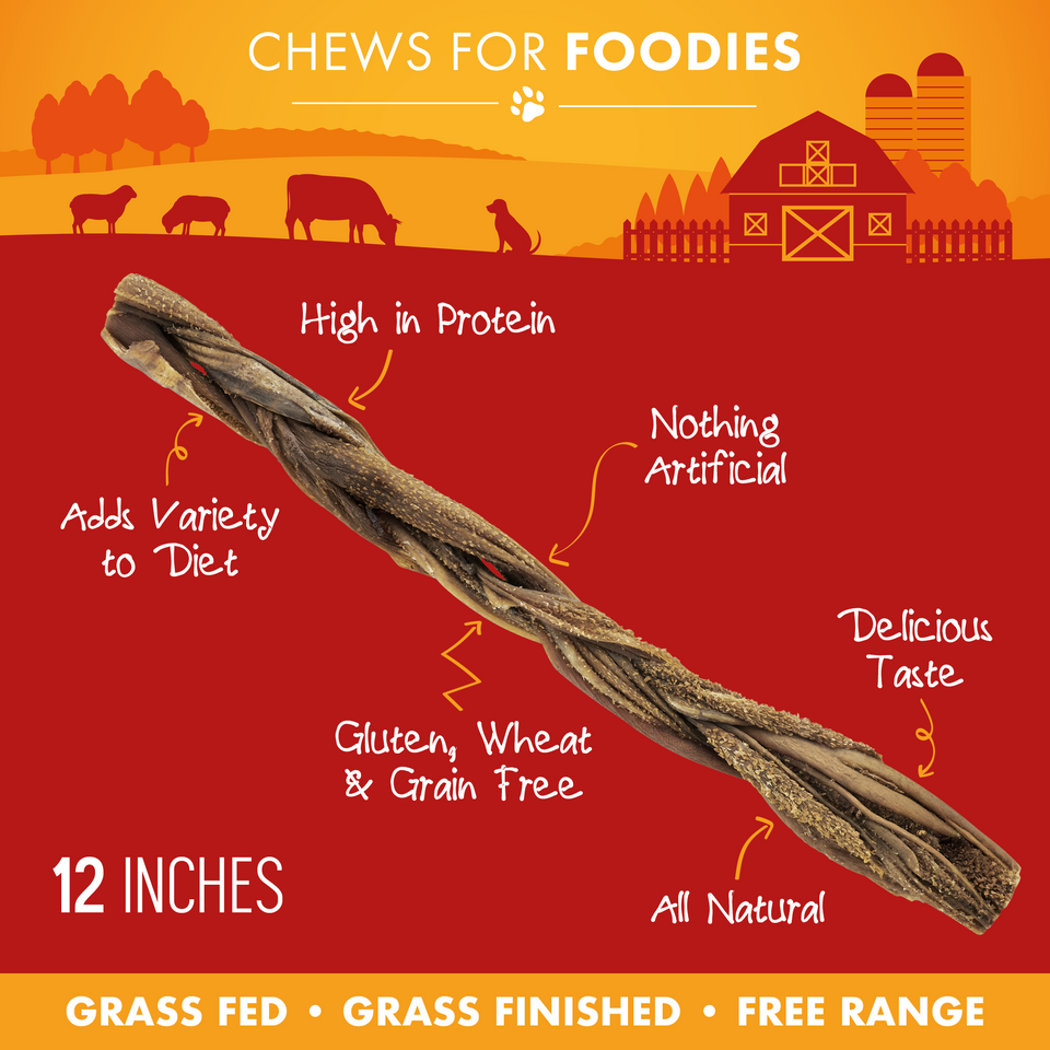 Single 12-inch lamb tripe stick with feature callouts including high in protein, grain free, and all natural