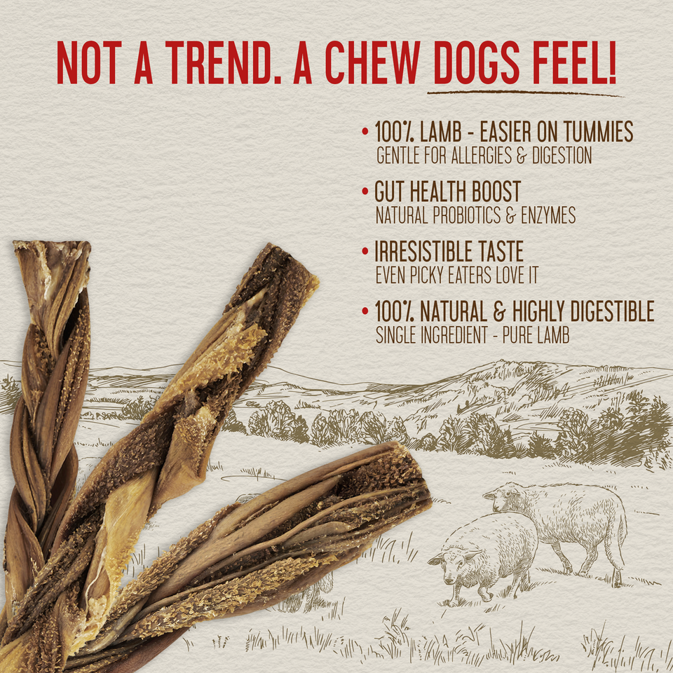 Close-up of twisted 12-inch lamb tripe sticks with key health benefit callouts