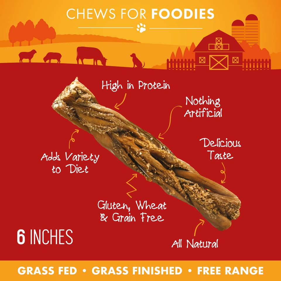 Single 6-inch lamb tripe stick with feature callouts including high in protein, grain free, and all natural