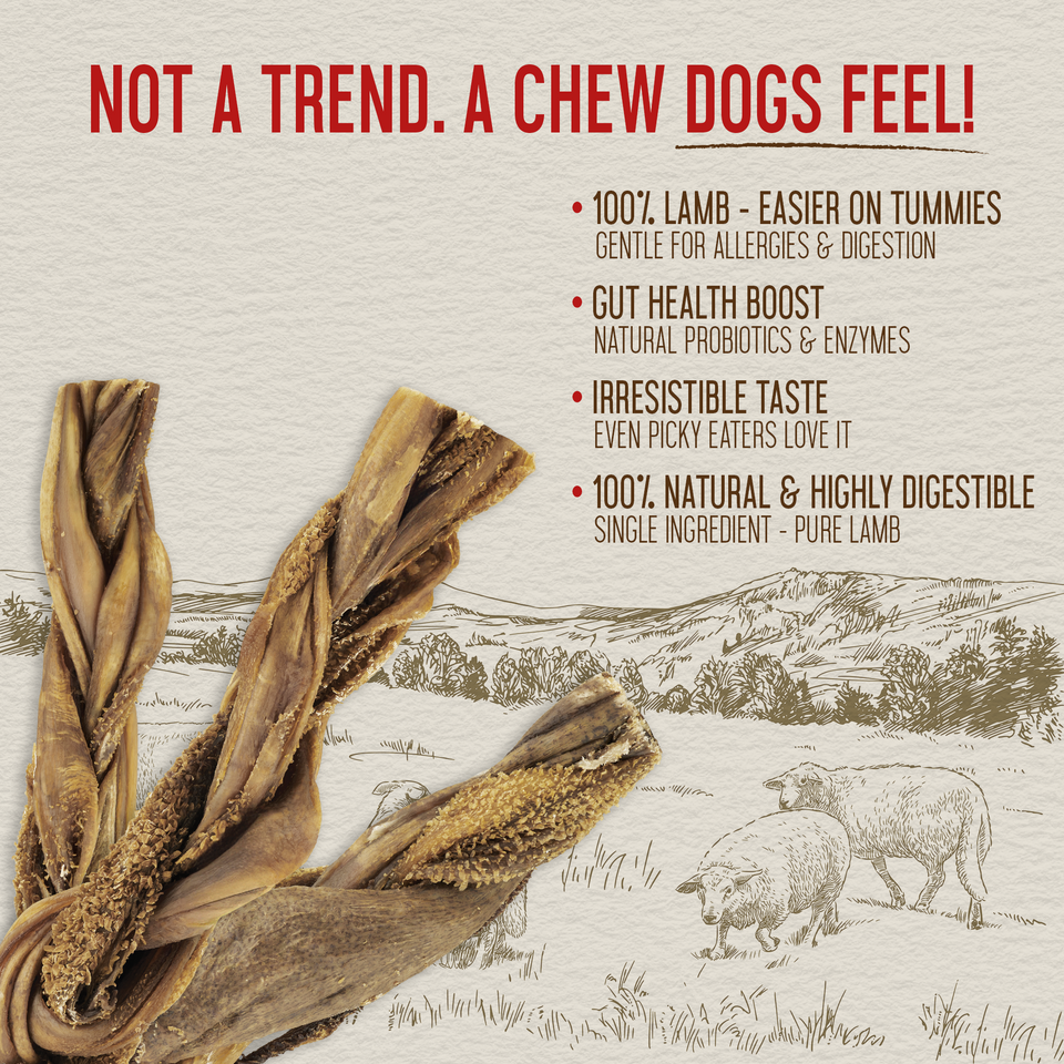 Close-up of natural lamb tripe stick texture with key health benefit callouts