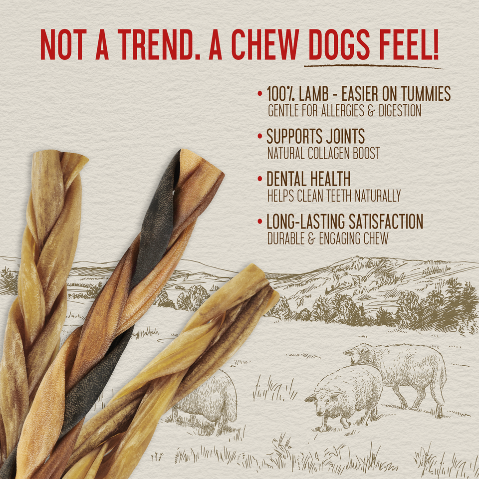 Close-up of braided lamb collagen sticks with benefits: easier on tummies, supports joints, dental health, long-lasting