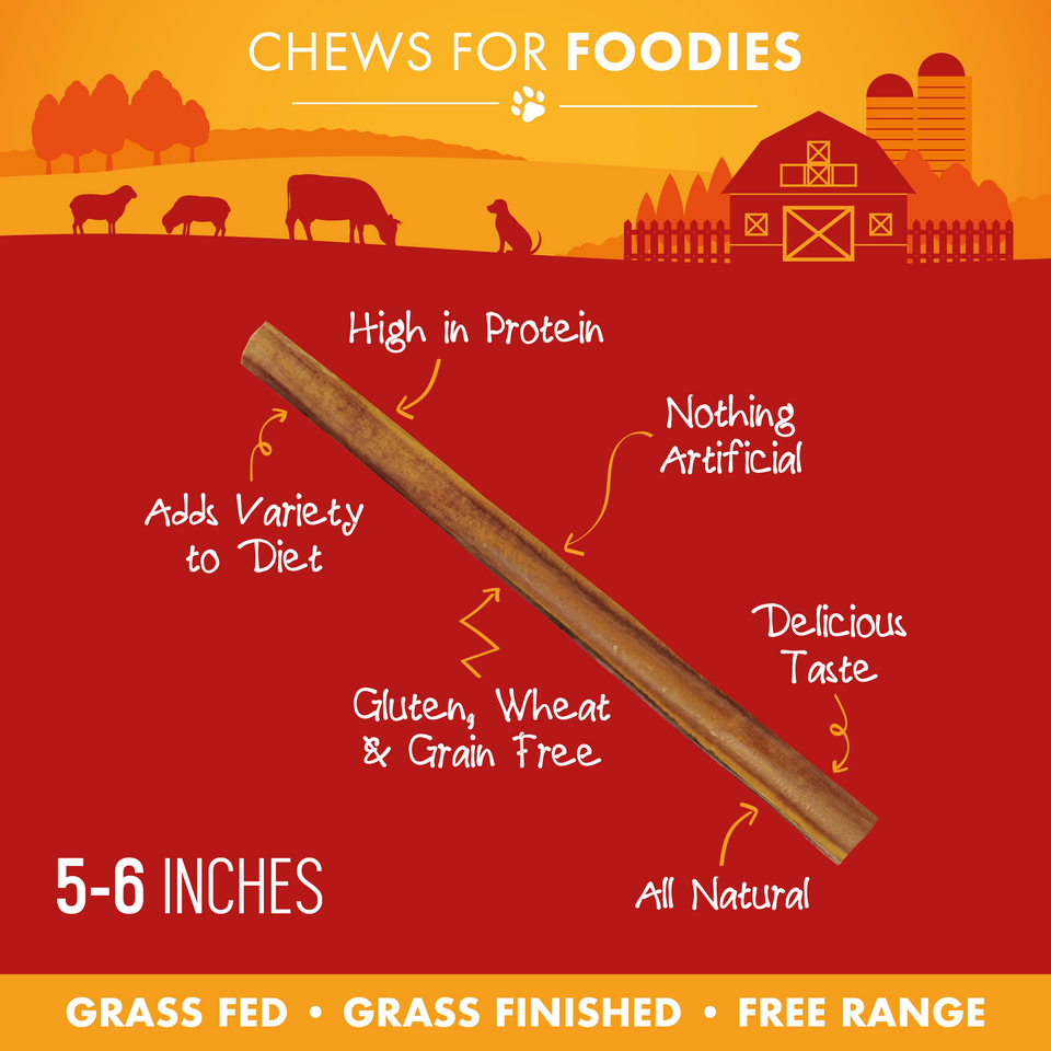 Single thin 5-6-inch bully stick with feature callouts including high in protein, all natural, and grain free