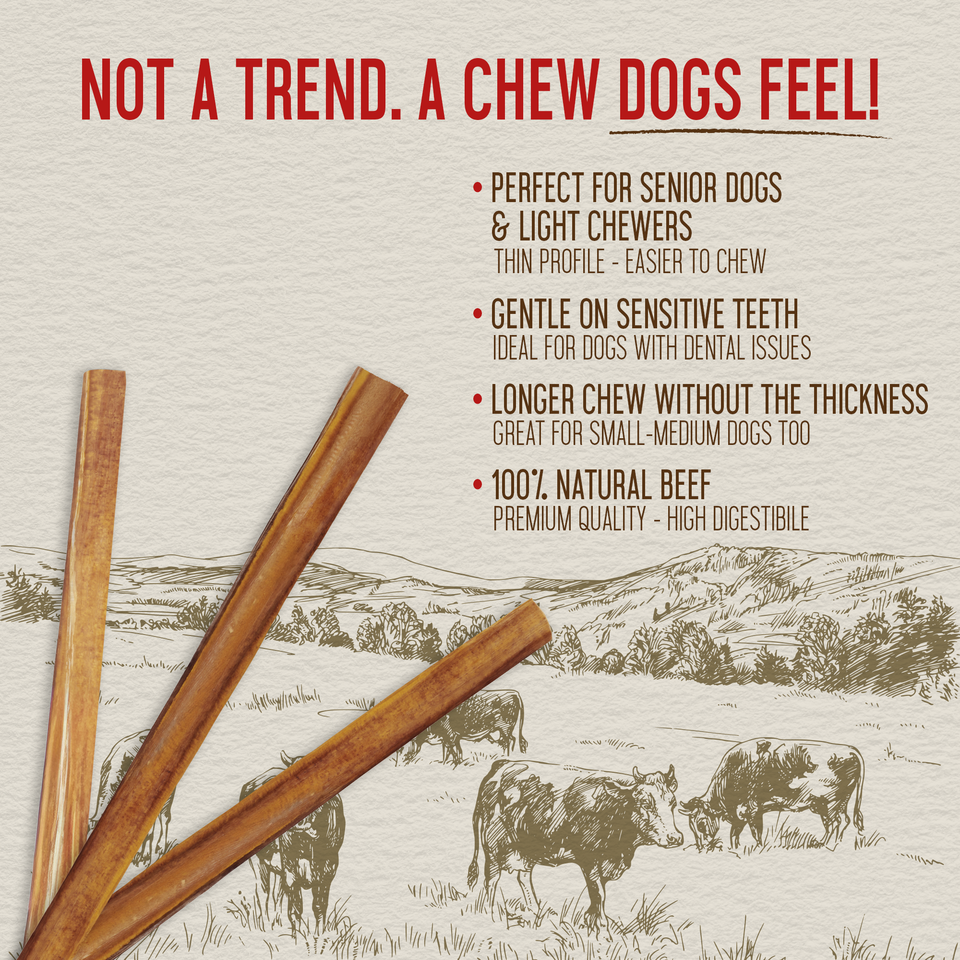 Close-up of slim natural thin bully sticks with key health benefit callouts