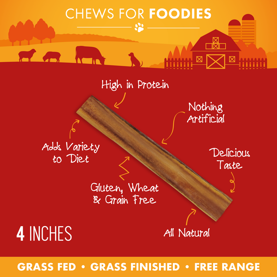 Single 4-inch bully stick with feature callouts including high in protein, all natural, and grain free
