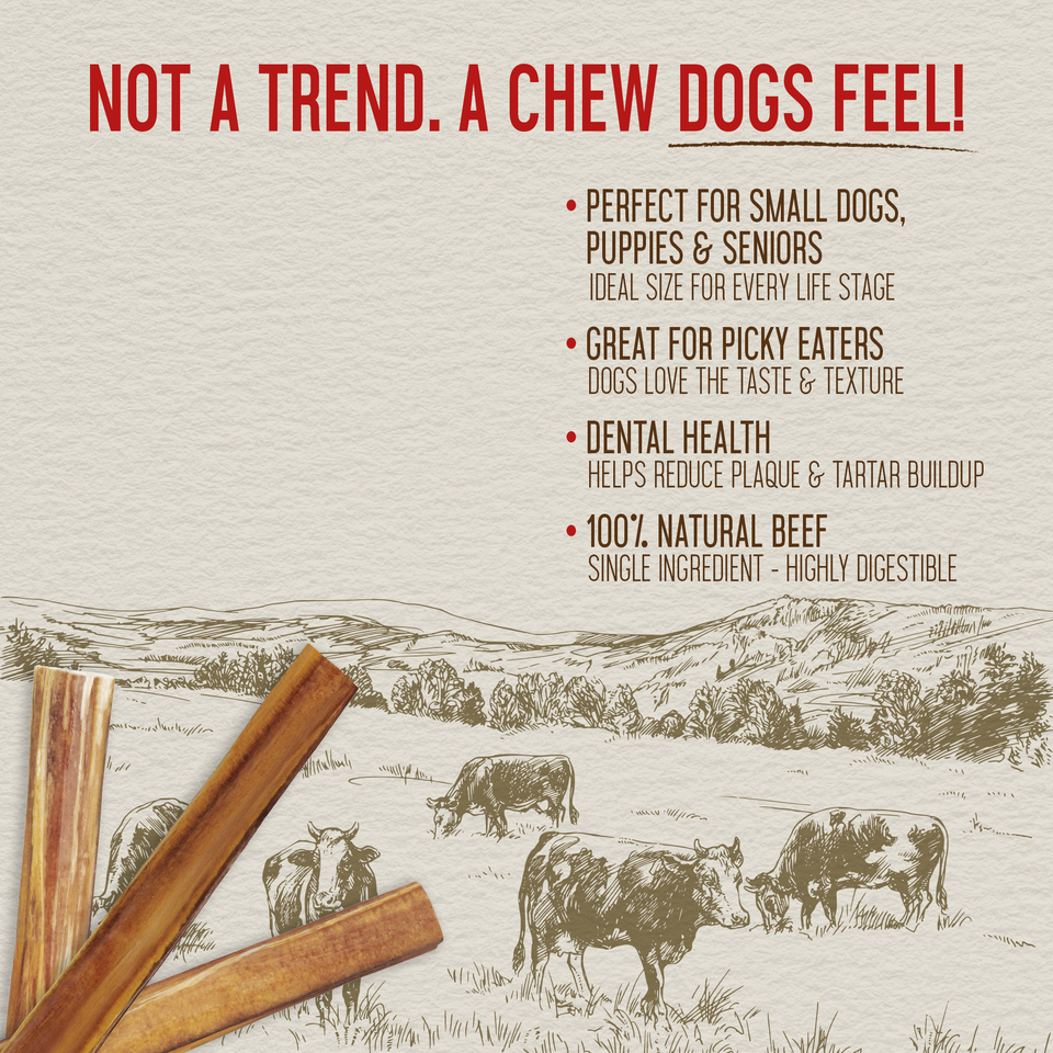 Close-up of short natural 4-inch bully sticks with key health benefit callouts