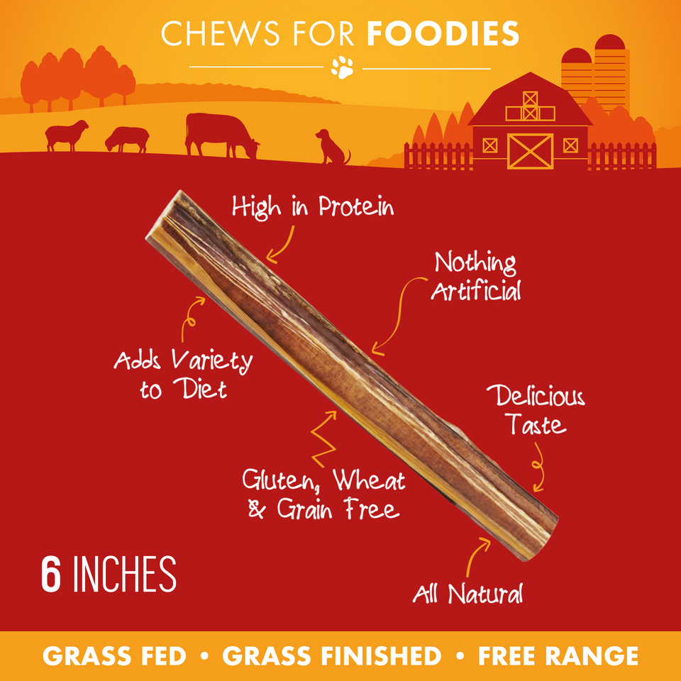 Single 6-inch jumbo bully stick with feature callouts including high in protein, all natural, and grain free
