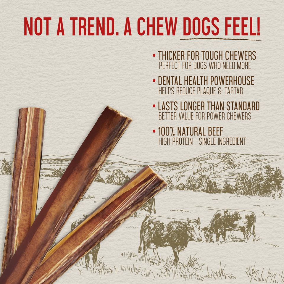 Close-up of thick natural jumbo bully sticks with key health benefit callouts