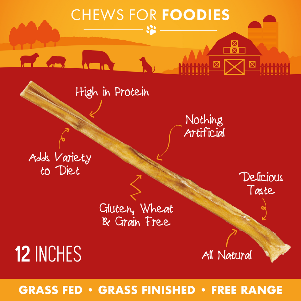 Single 12-inch bully stick with feature callouts including high in protein, all natural, and grain free