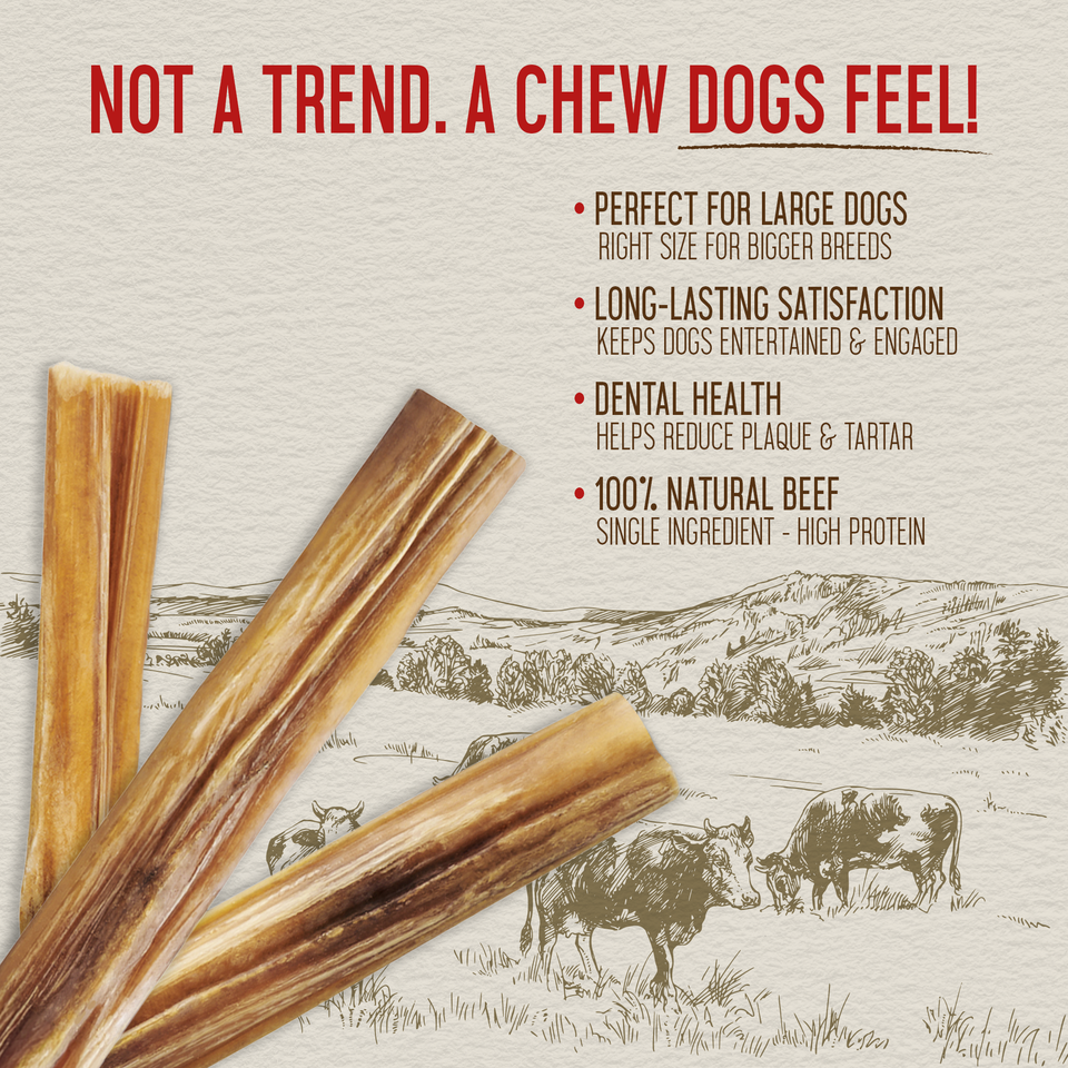 Close-up of long natural 12-inch bully sticks with key health benefit callouts