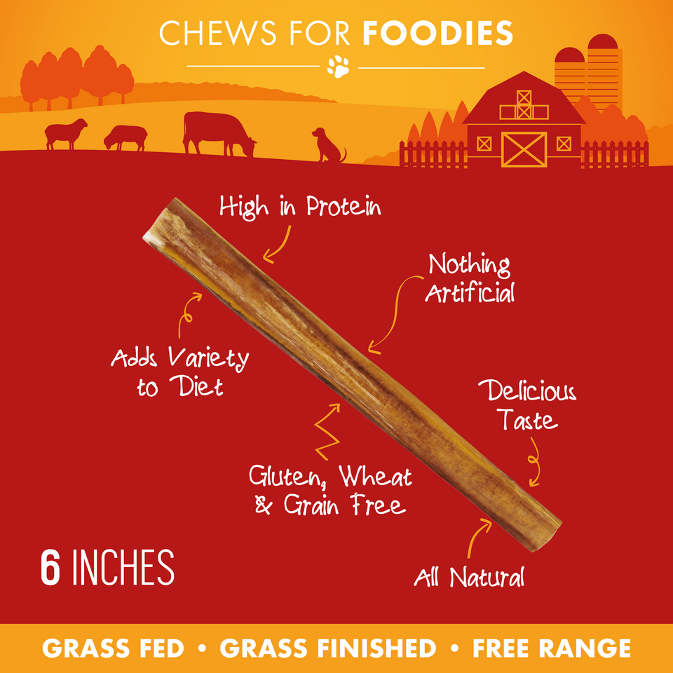 Single 6-inch bully stick with feature callouts including high in protein, all natural, and grain free