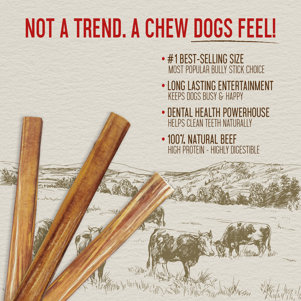 Close-up of natural 6-inch bully sticks with key health benefit callouts