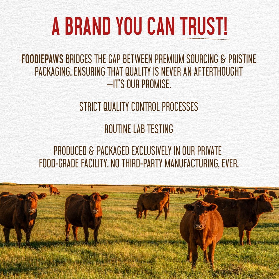 Foodiepaws trust panel for 6-Inch Bully Sticks: lab testing, private facility, grass-fed cattle on pasture