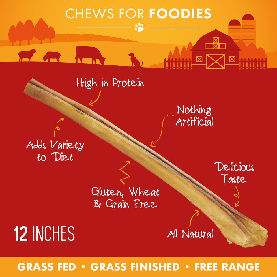 Single 12-inch jumbo bully stick with feature callouts including high in protein, all natural, and grain free