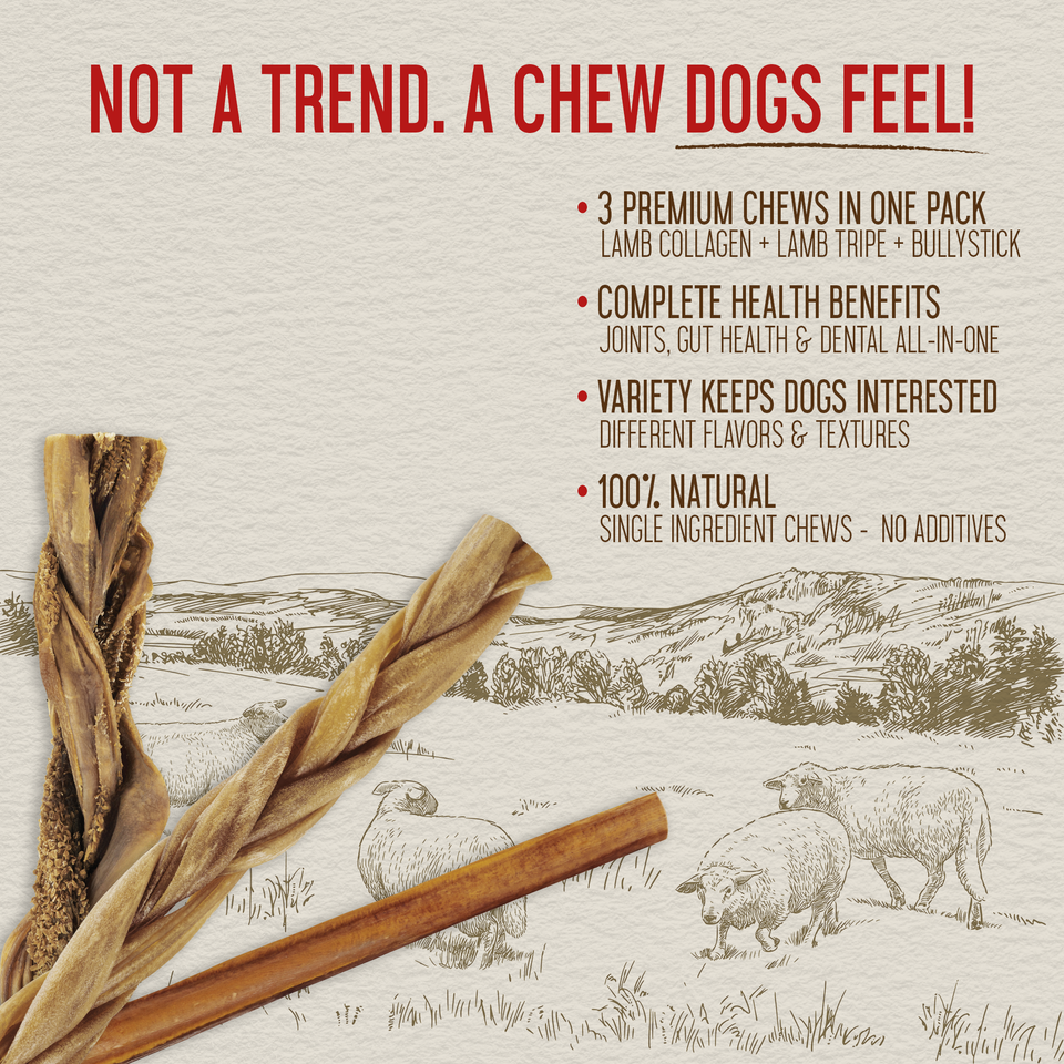 Close-up of lamb collagen, tripe, and thin bully sticks from the 15-count variety pack with benefit callouts