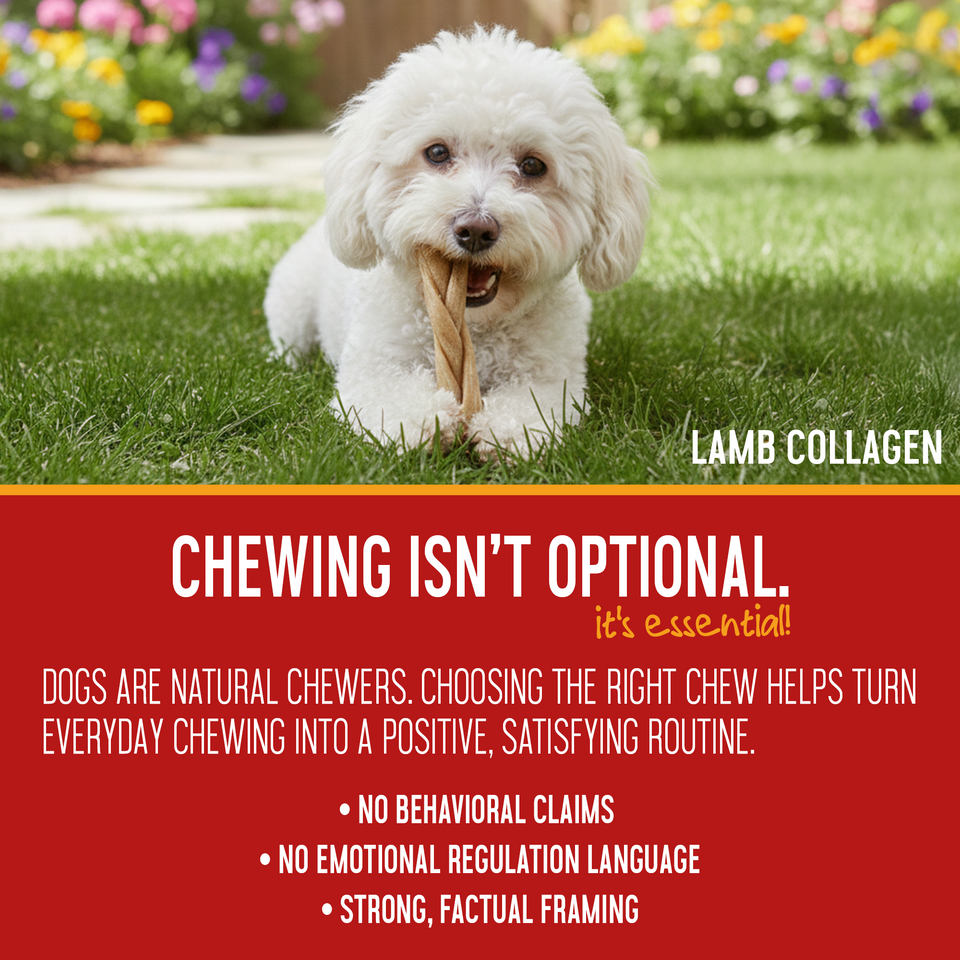 Dog enjoying a lamb variety pack chew — panel on making everyday chewing a positive, satisfying routine