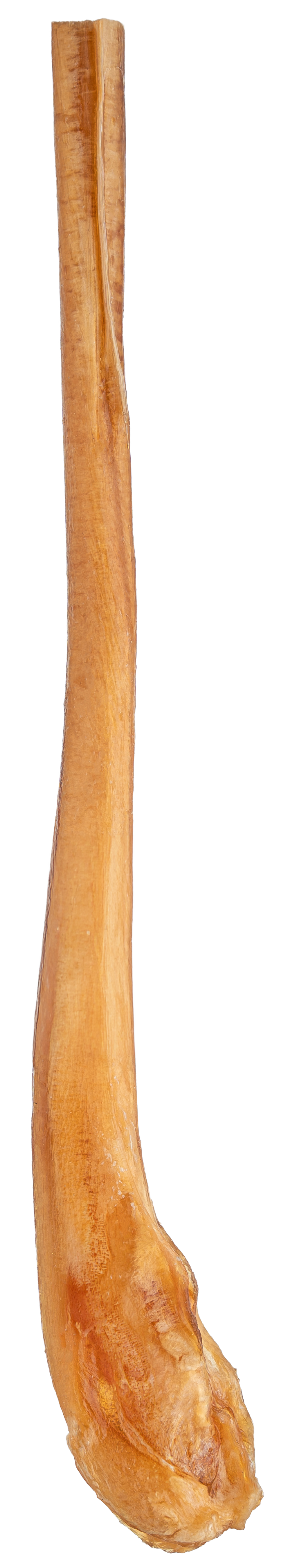 Bullystick chew