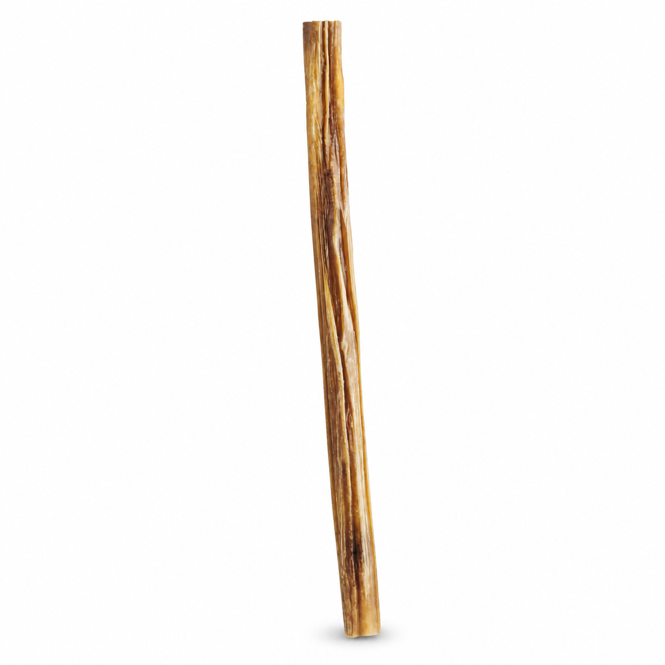 Single Foodiepaws 12-inch standard beef bully stick on white; representative chew, pack quantity selected separately