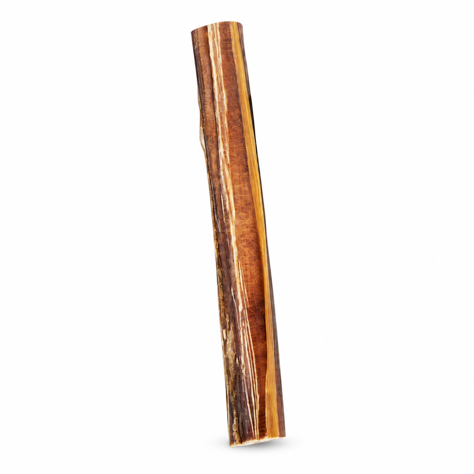 Single Foodiepaws 6-inch jumbo beef bully stick on white; representative chew, pack quantity selected separately