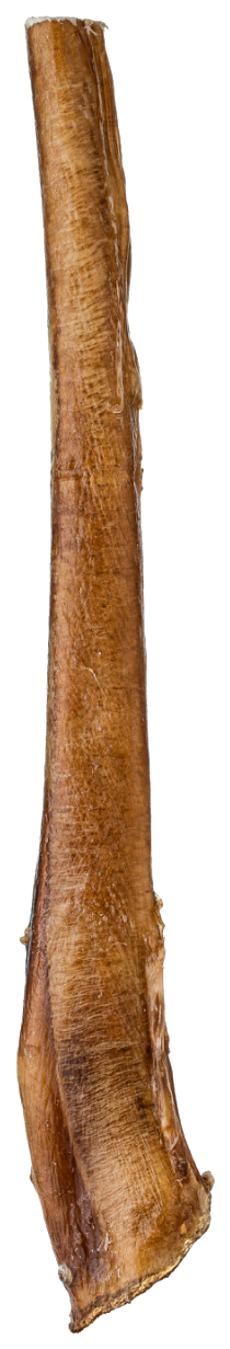 Bullystick chew